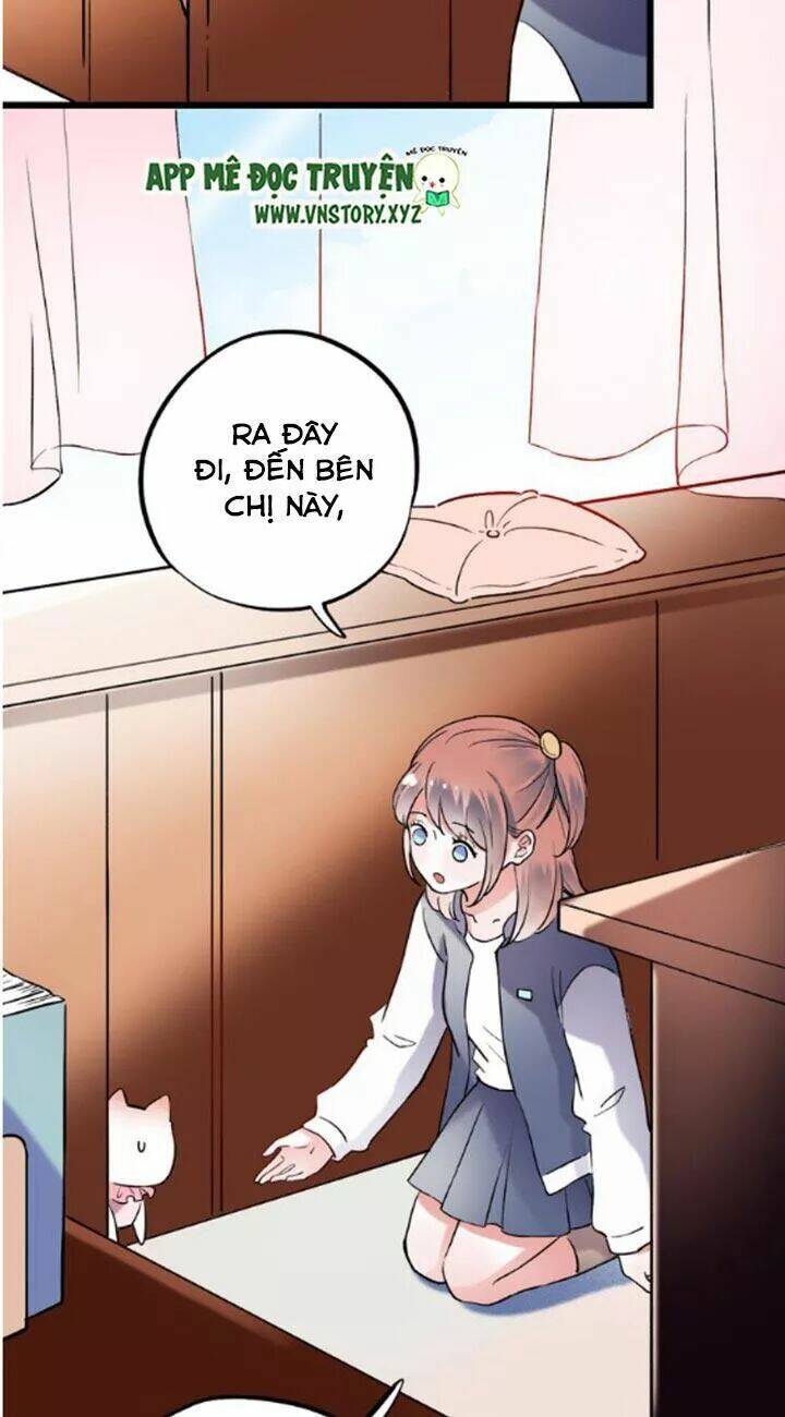 trạch thượng tịch mịch huỳnh hỏa chapter 21 37