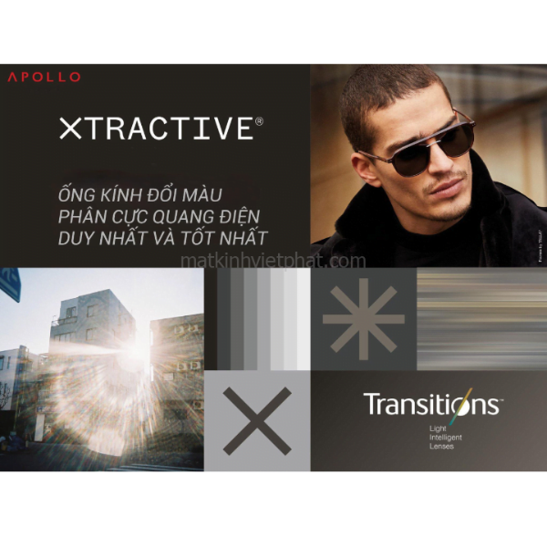 Tròng kính đổi màu Vietphat Eyewear Apollo Xtra Active Transitions Gen8 HMC