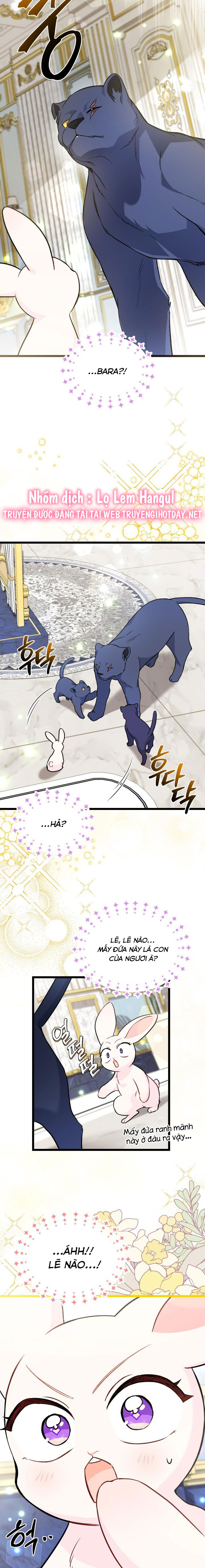 mối liên kết giữa báo đen và bé thỏ chapter 134 8