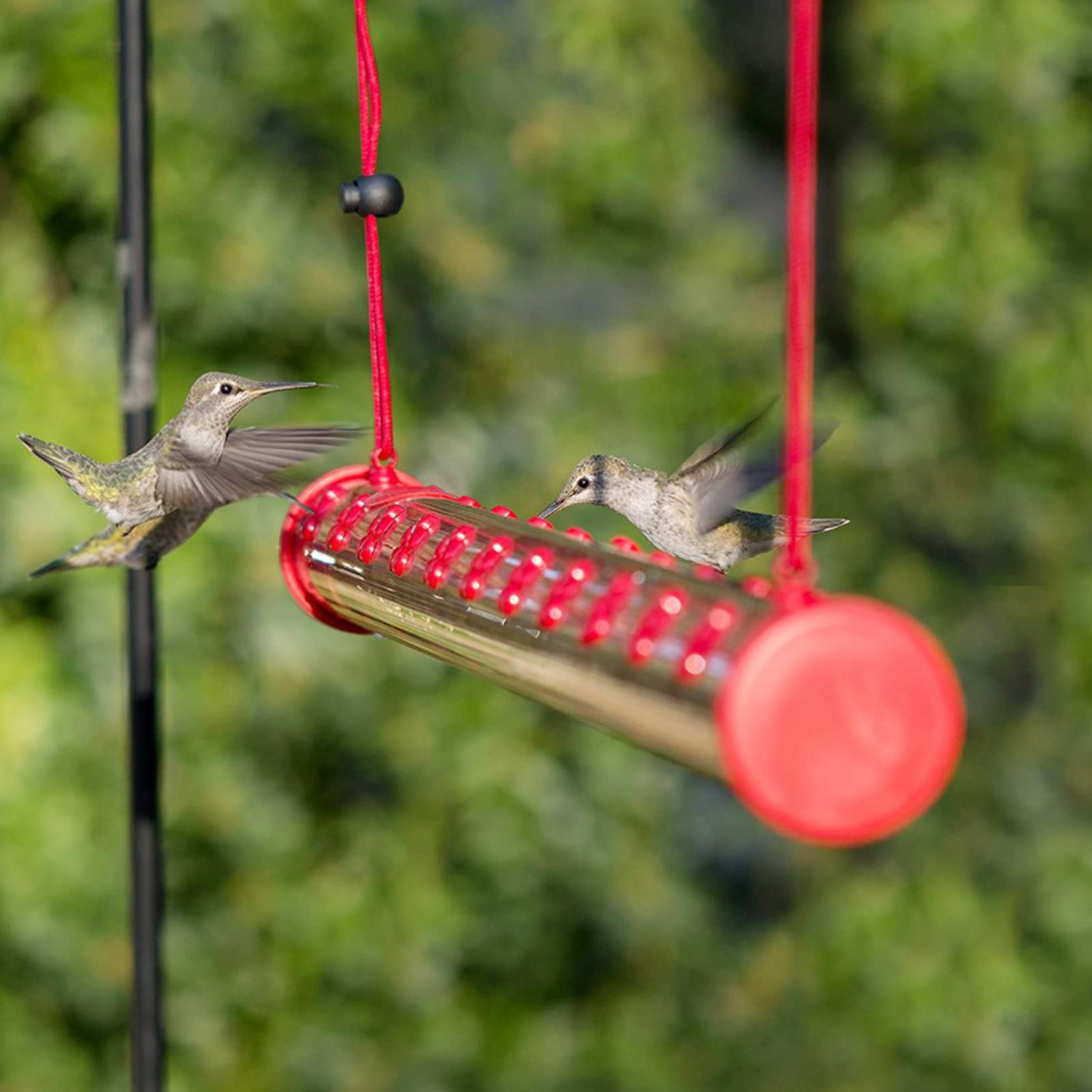 Máy cho ăn dạng ống dài cho chim