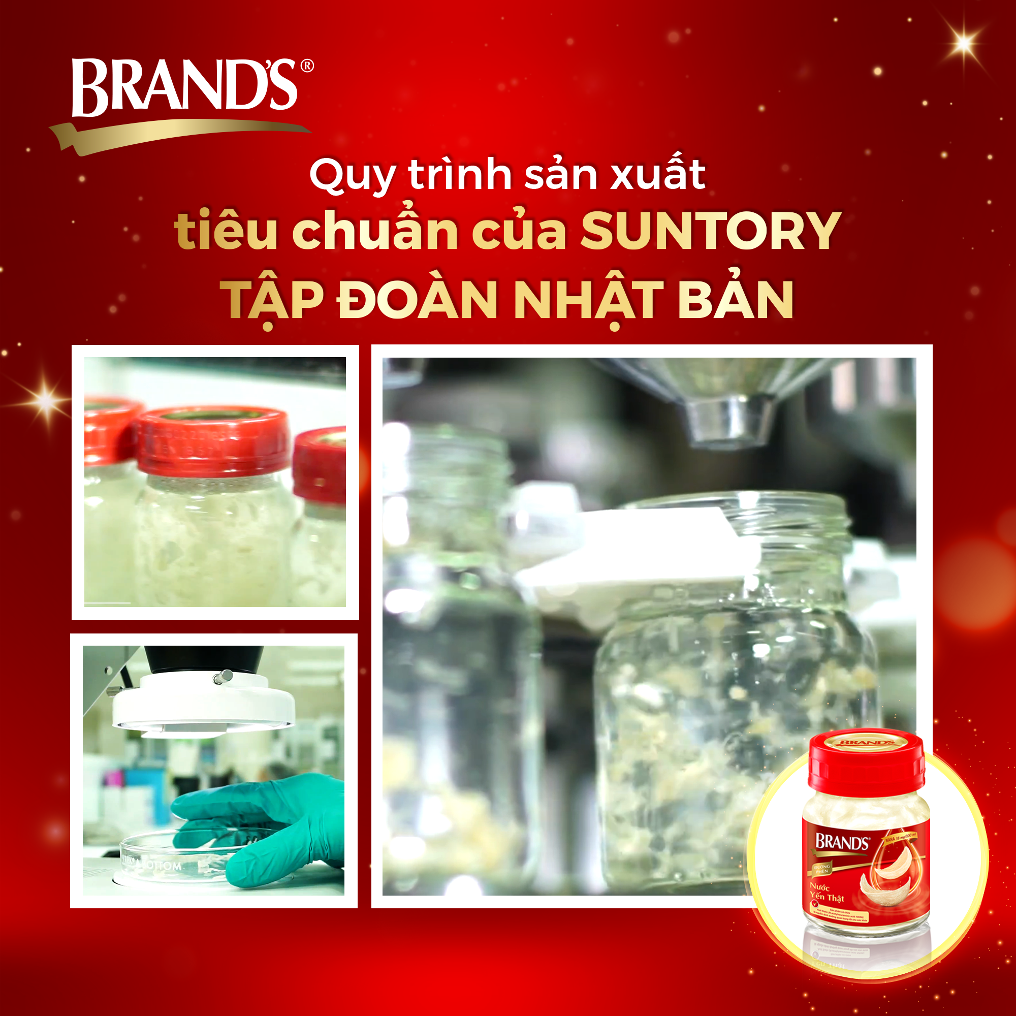 Combo 3 Nước yến thật BRAND'S Đường Phèn