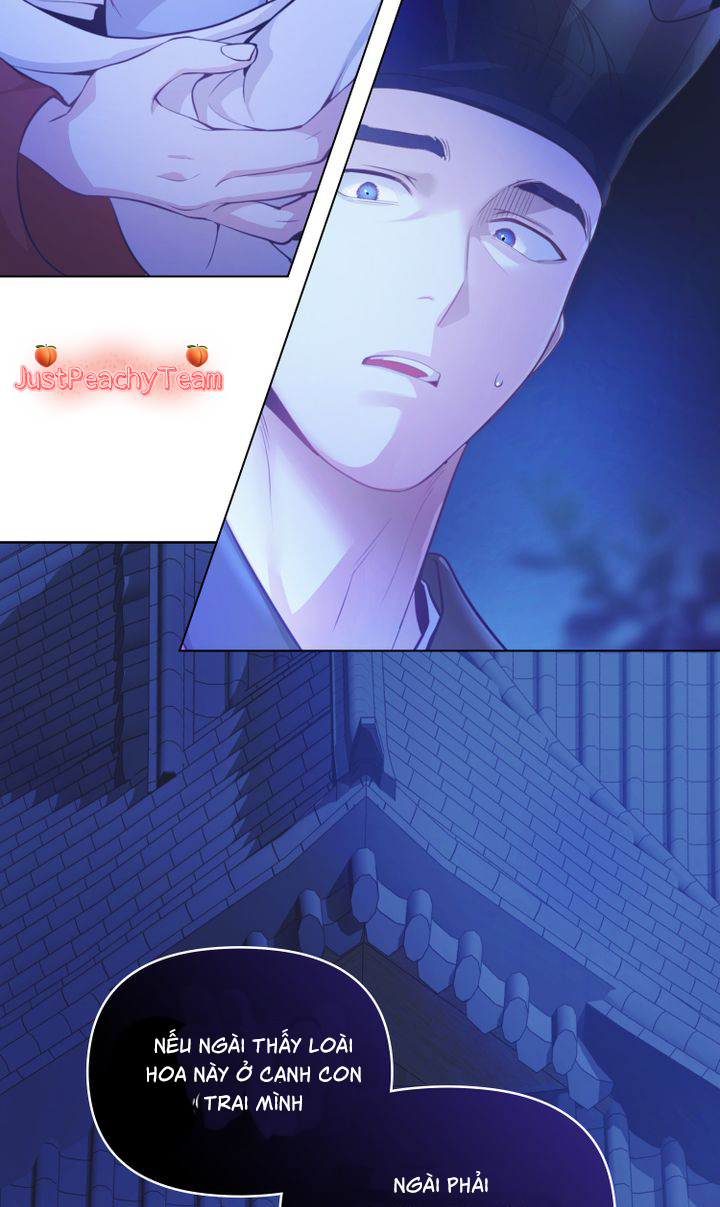 khi những nụ hoa nở rộ chapter 1 29