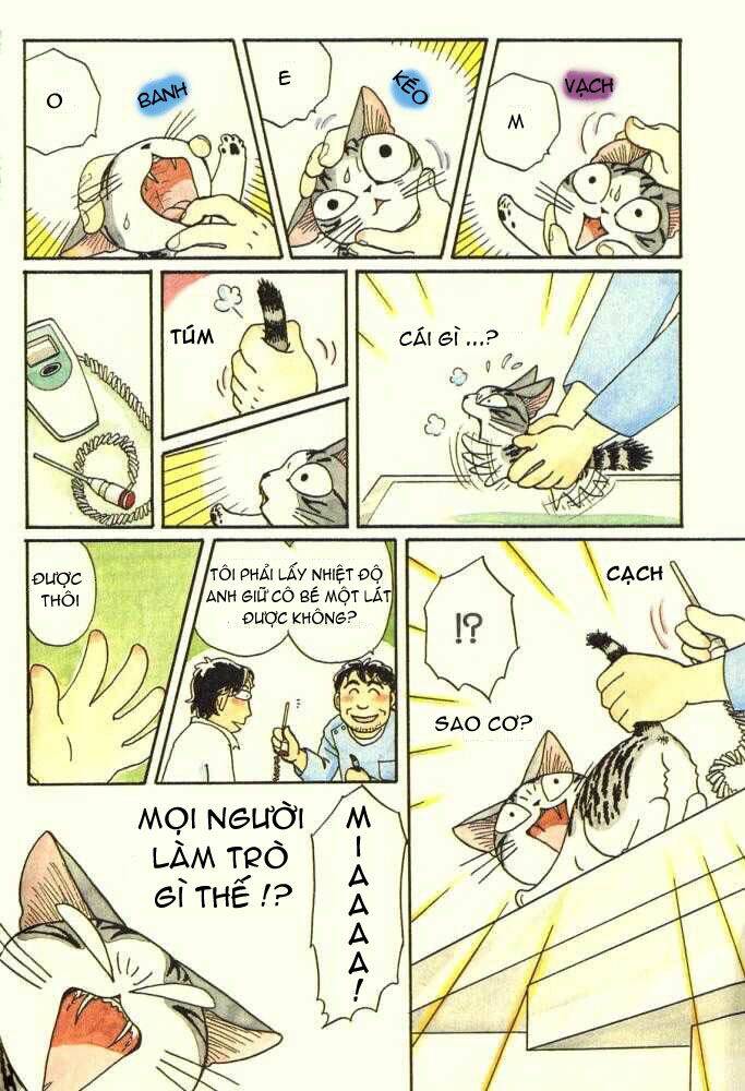 chi's sweet home chapter 15 6