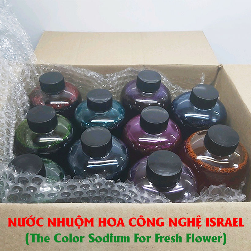 10 chai Nhuộm Hoa tươi dạng nước Công Nghệ Israel giúp hoa nhuộm đổi màu theo ý muốn nhuộm trên 250 cành hoa x 1 chai