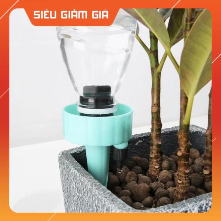 Set 12 que cắm tưới cây nhỏ giọt (gắn chai coca, pepsi, dễ dàng điều chỉnh lượng nước tưới cây cảnh) 206801