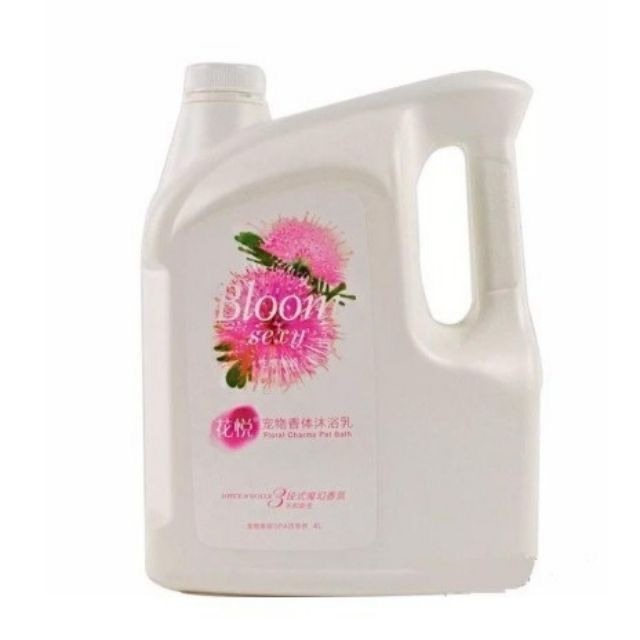 Sữa tắm nước hoa Bloom Sexy can 4L