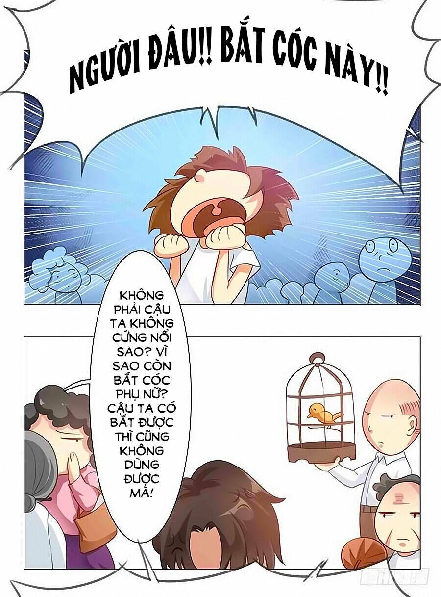 cô vợ bé nhỏ của boss chapter 11 17