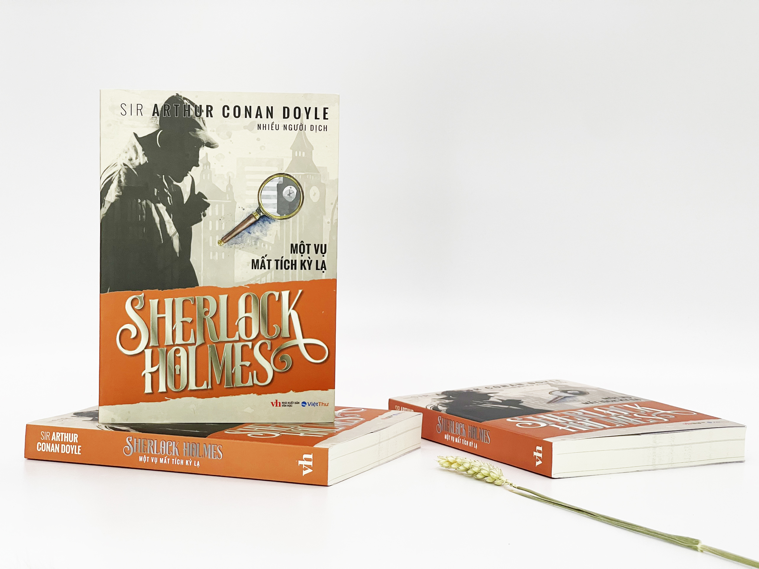 Sherlock Holmes - Một Vụ Mất Tích Kỳ Lạ - Sir Arthur Conan Doyle (Bìa Mềm)