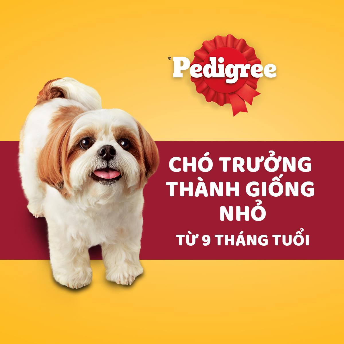 Thức ăn cho chó Mini dạng hạt Pedigree túi 400g