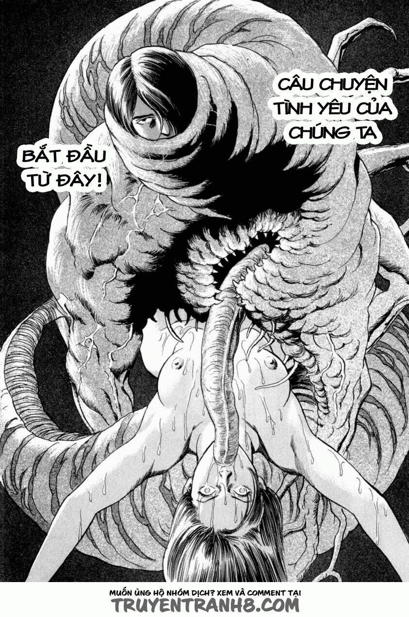 cambrian chapter 1 30