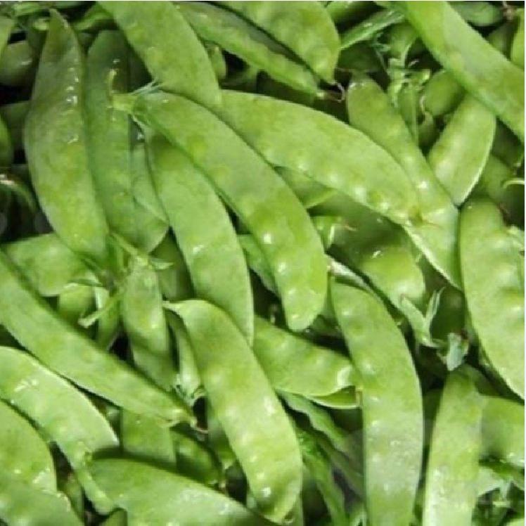 Hạt giống đậu hà lan xanh - 1 gói 50gram