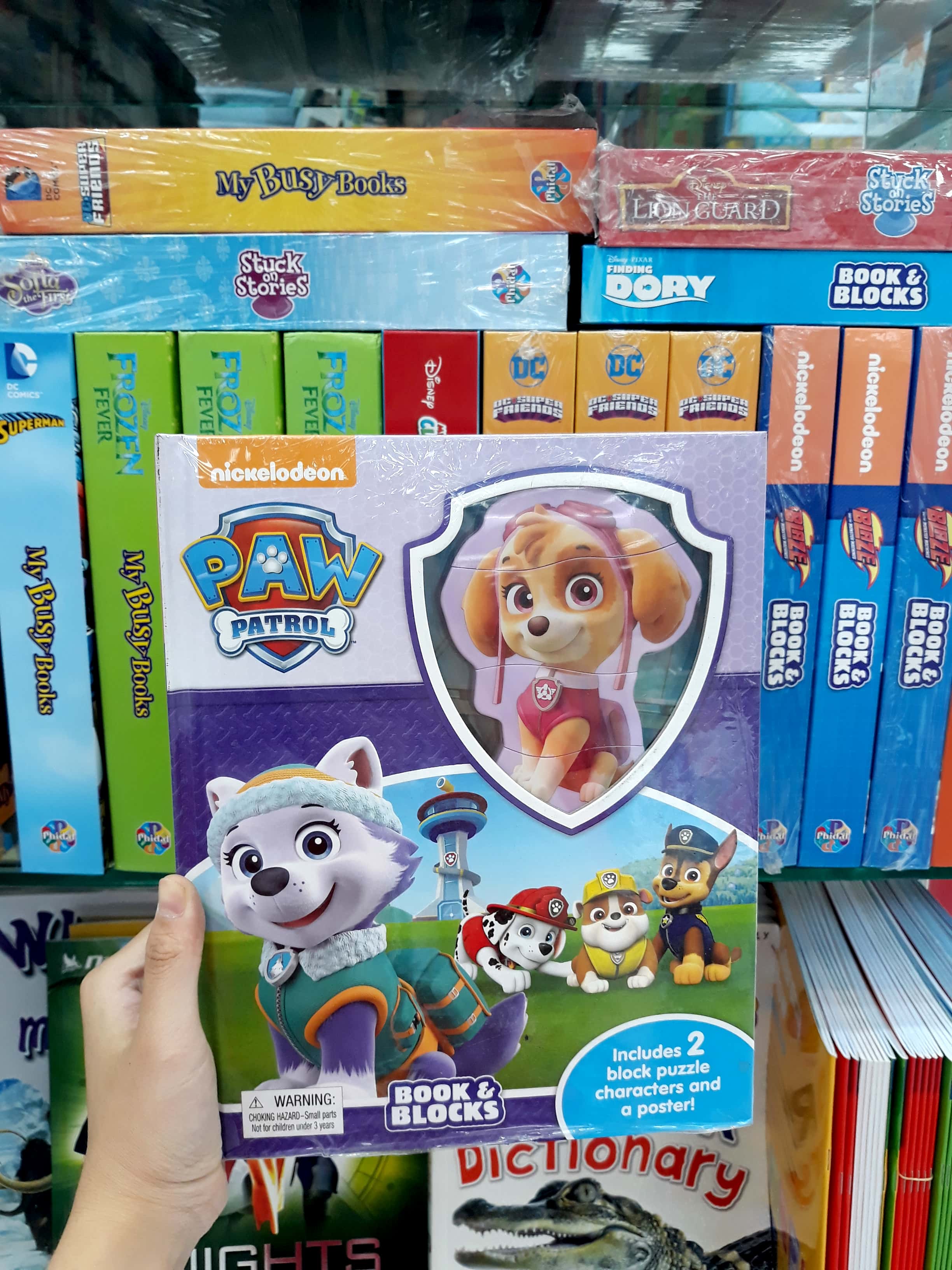 Nick Paw Patrol Girls Book &amp; Blocks