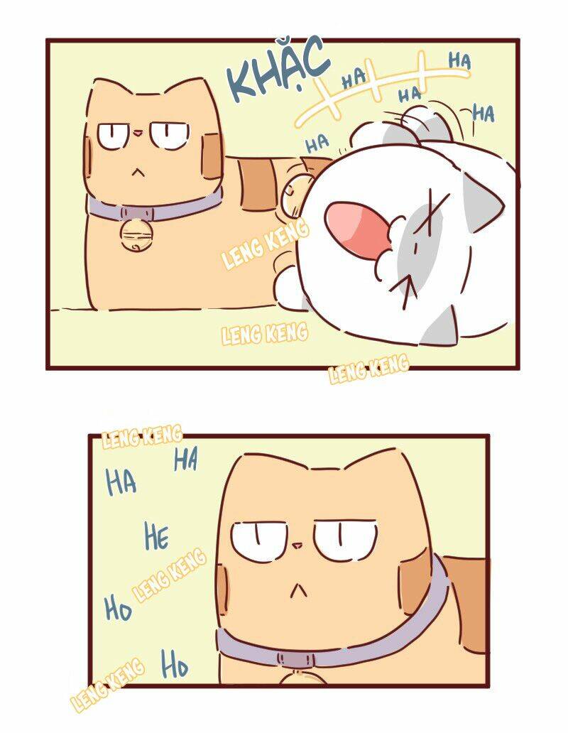 saphie: chú mèo một mắt chapter 28 13