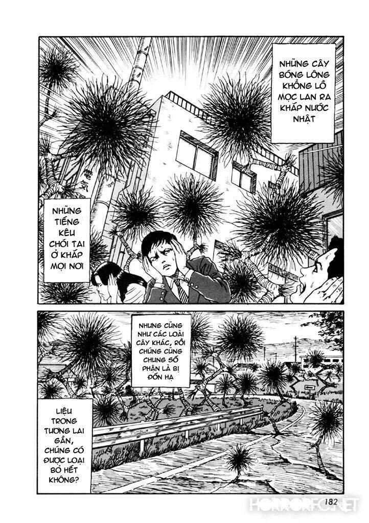 tuyển tập truyện ngắn kinh dị của ito junji chapter 14.4 48