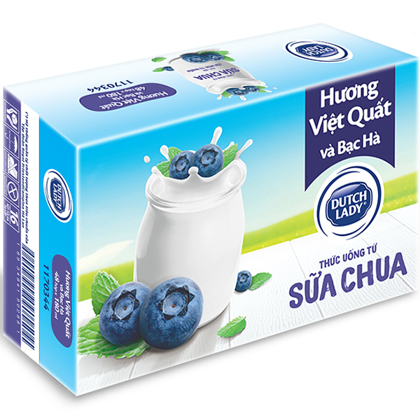 Thùng Sữa Chua Uống Lên Men Tự Nhiên Dutch Lady Hương Việt Quất Và Bạc Hà (48 hộp x 180ml)