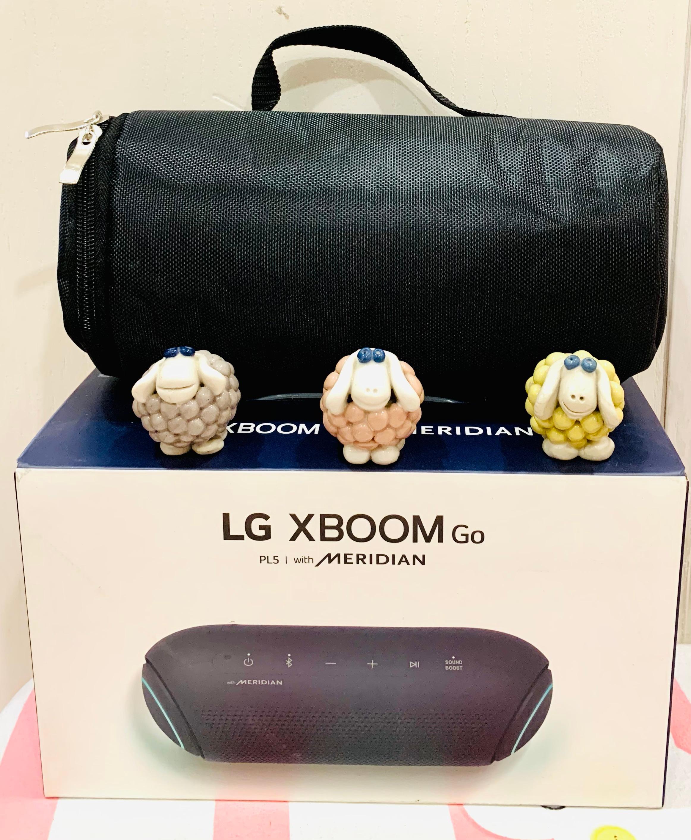 Túi đựng bảo vệ cho loa LG Xboom PL5