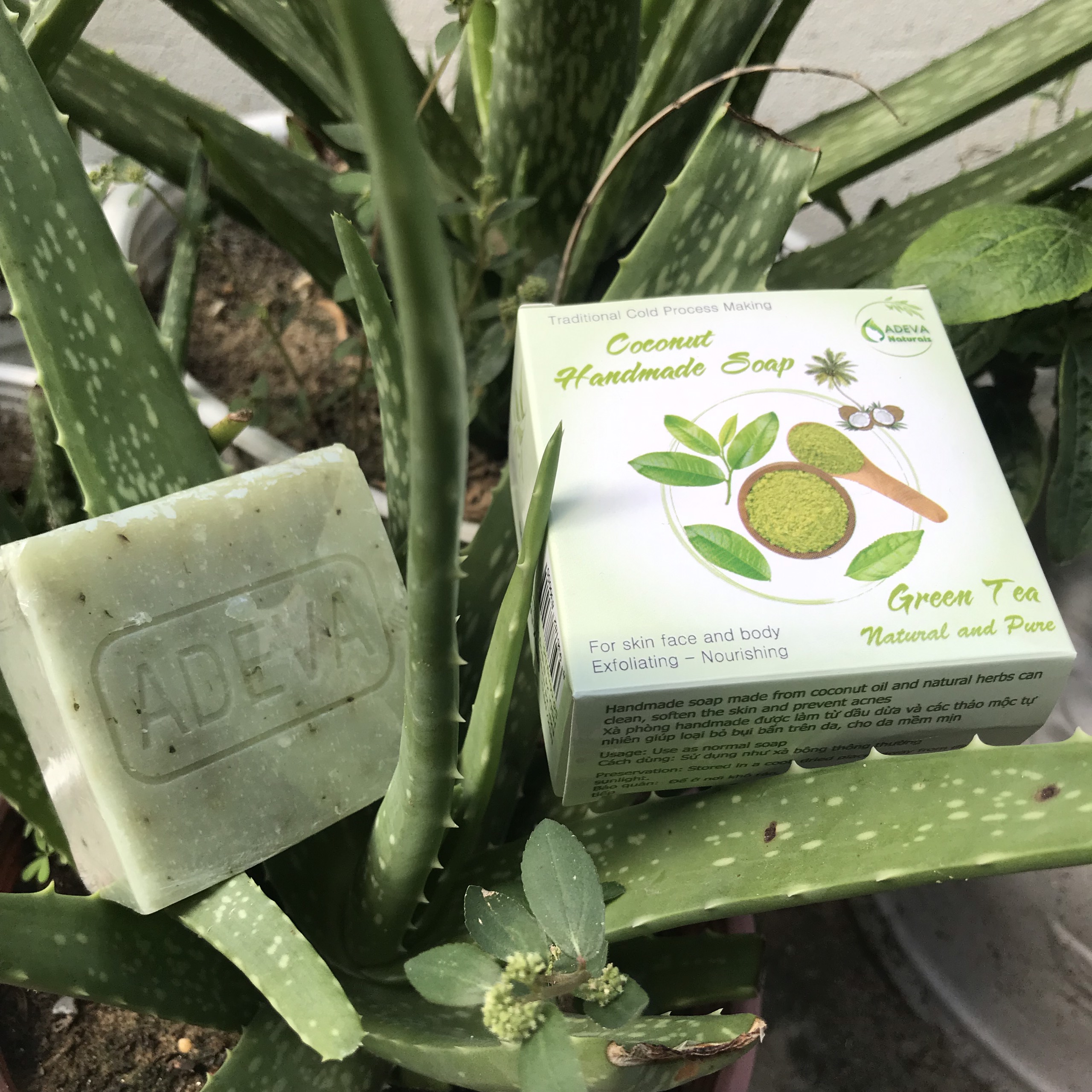 Xà phòng handmade Trà Xanh - Adeva Naturals - Set 6 soap