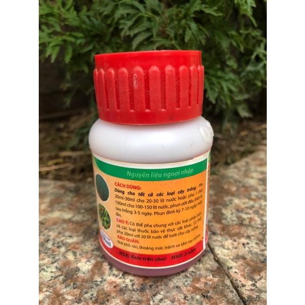 SIÊU LÂN ĐỎ ĐẬM ĐẶC