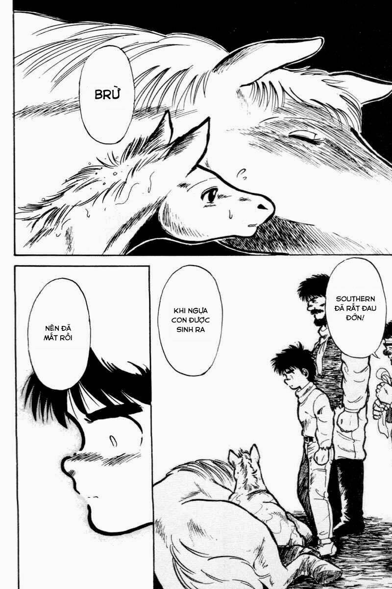 kaze no sylphid - phong mã silphid chapter 1 45