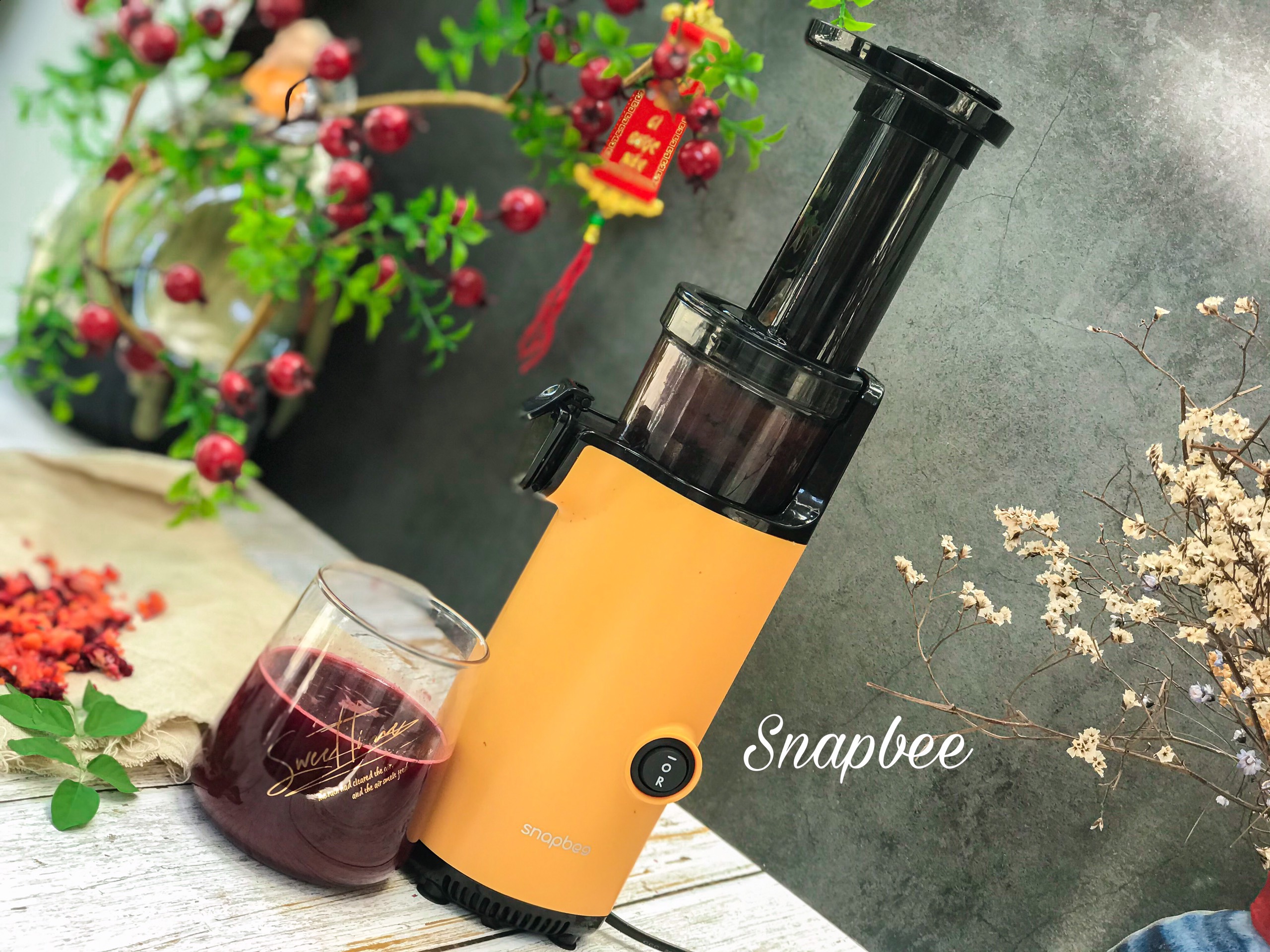 Máy Ép Chậm - Máy Ép Trái Cây SnapBee SK-202VN - Hàng Chính Hãng