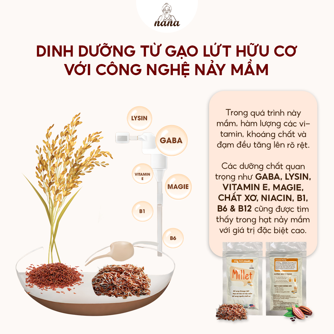 Combo Sữa Hạt Gạo Lứt Hữu Cơ Millet &amp; 24Grains Gói 30g Nana Malaysia Cho Trẻ Từ 3 Tuổi &amp; Người Lớn Bổ Sung Dinh Dưỡng - 24grains