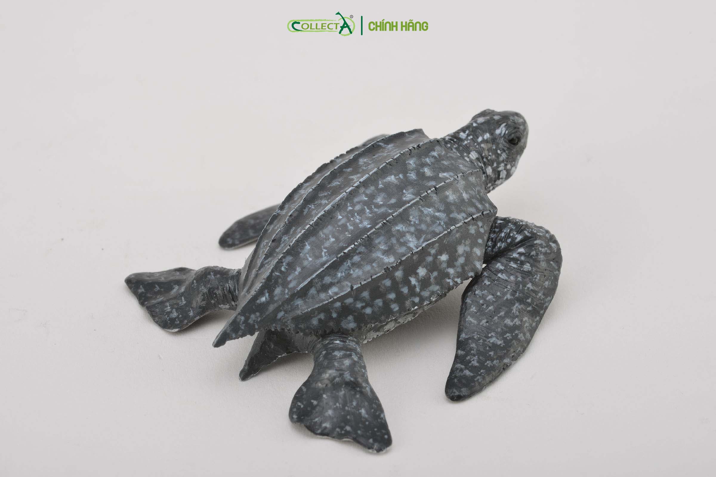 Mô hình thu nhỏ: Rùa Da - Leatherback Sea Turtle, hiệu: CollectA, mã HS 9652030[88680] - Chất liệu an toàn cho trẻ - Hàng chính hãng