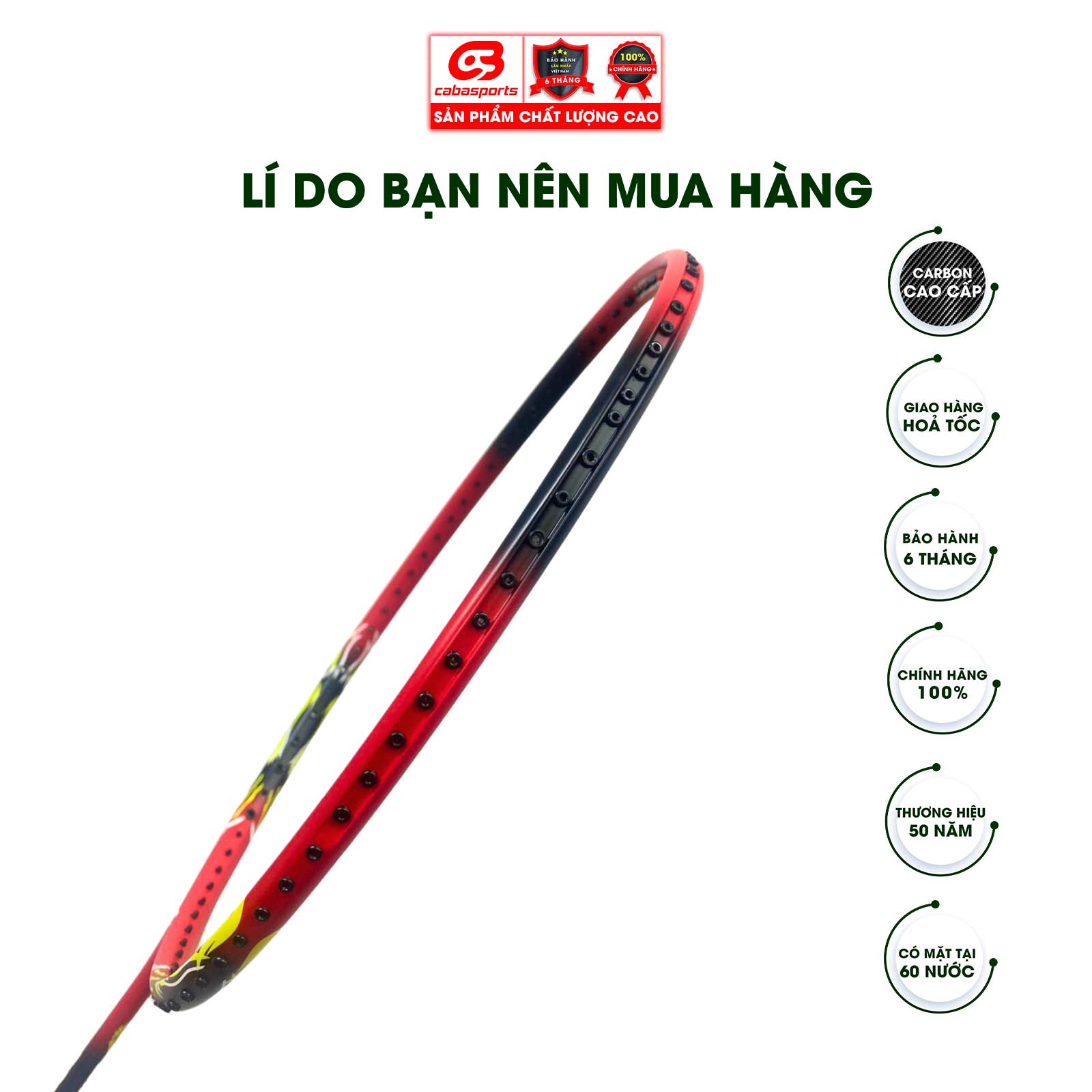 Vợt cầu lông đã đan lưới trợ lực Prokennex Lion chuyên công siêu mạnh, vợt cầu lông carbon cao cấp Bảo hành 6 tháng
