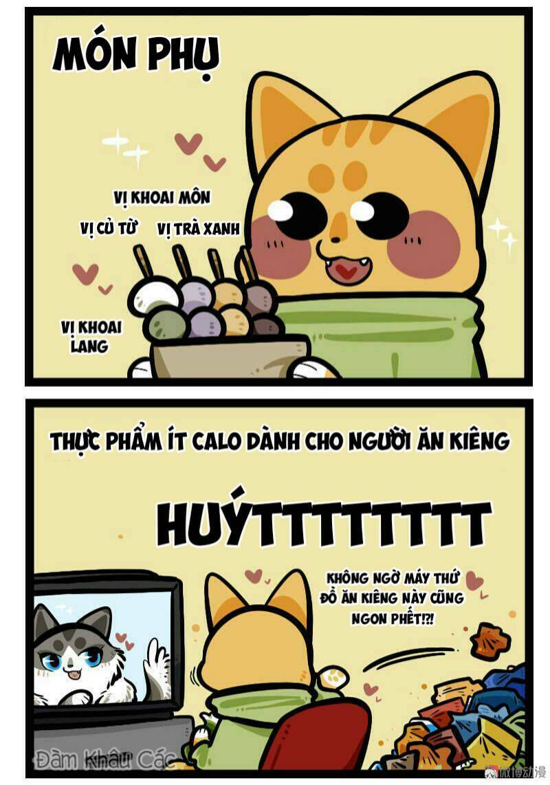 đời không như mình tưởng chapter 61 6