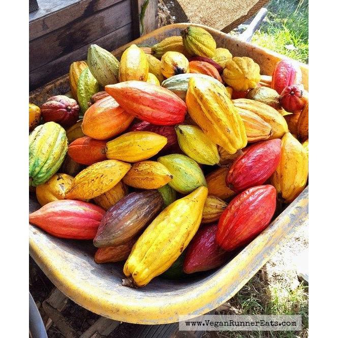 CACAO CRIOLLO HỮU CƠ NGUYÊN CHẤT PERU 200 G NGUỒN THIÊN NHIÊN