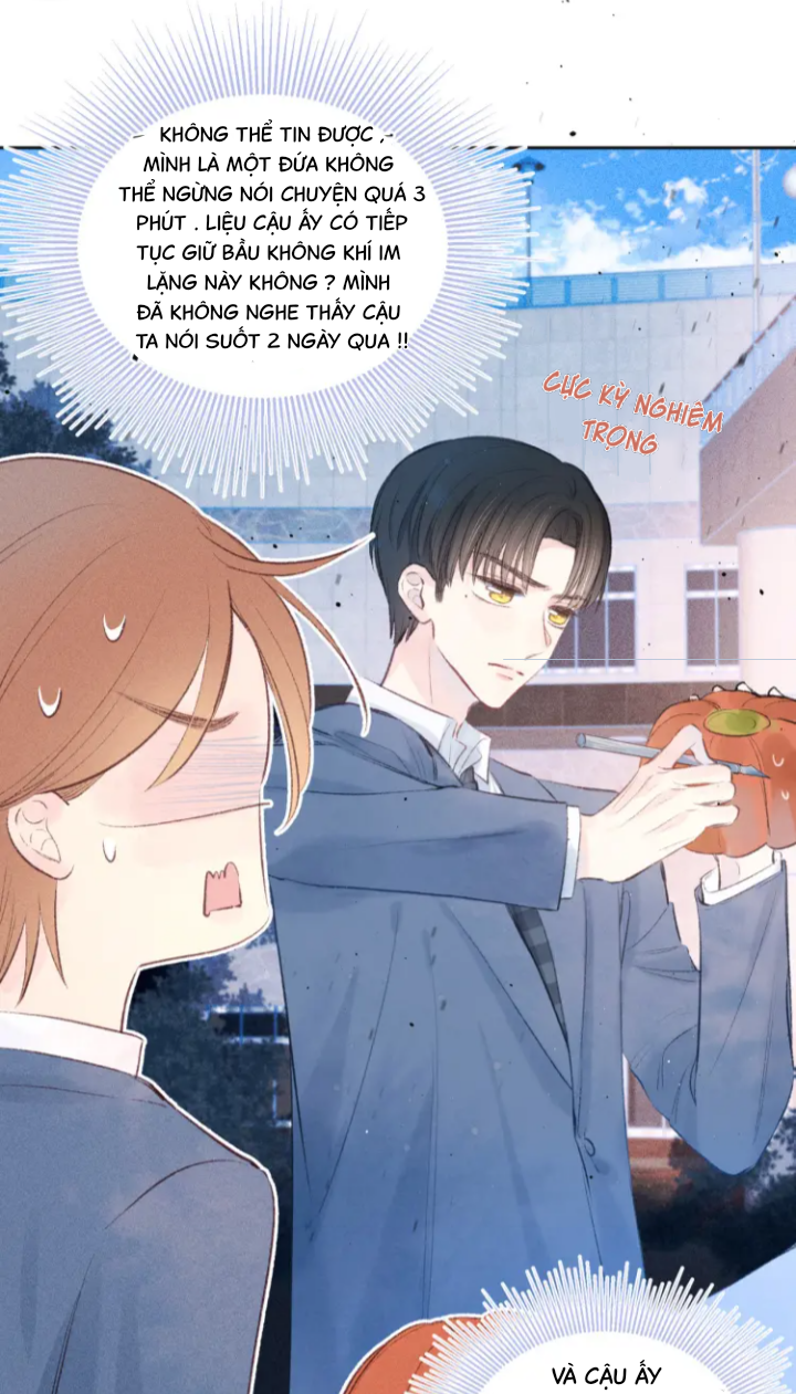 nỗi buồn của hoa cẩm tú cầu chapter 41 19