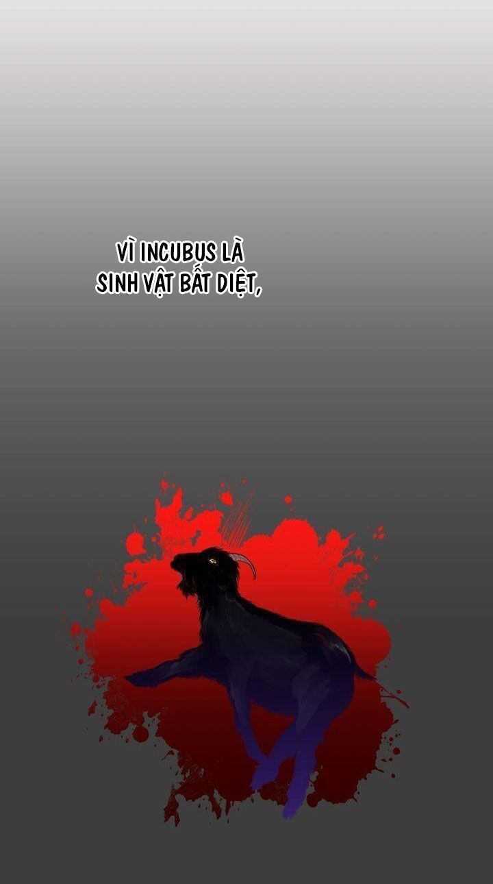 giấc mơ ngọt ngào chapter 16 33