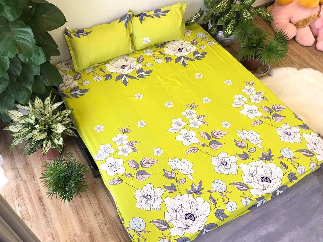 Set 5 món chăn hè ga chun Cotton Poly - Vàng Xanh - Tặng kèm 1 móc khóa Houston