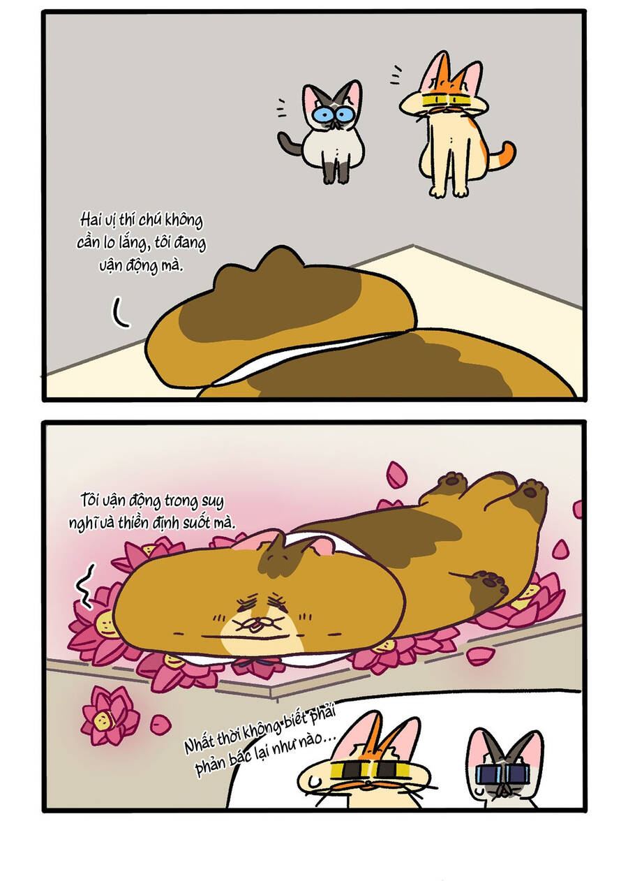 a mãn và mạch trà chapter 134.1 2