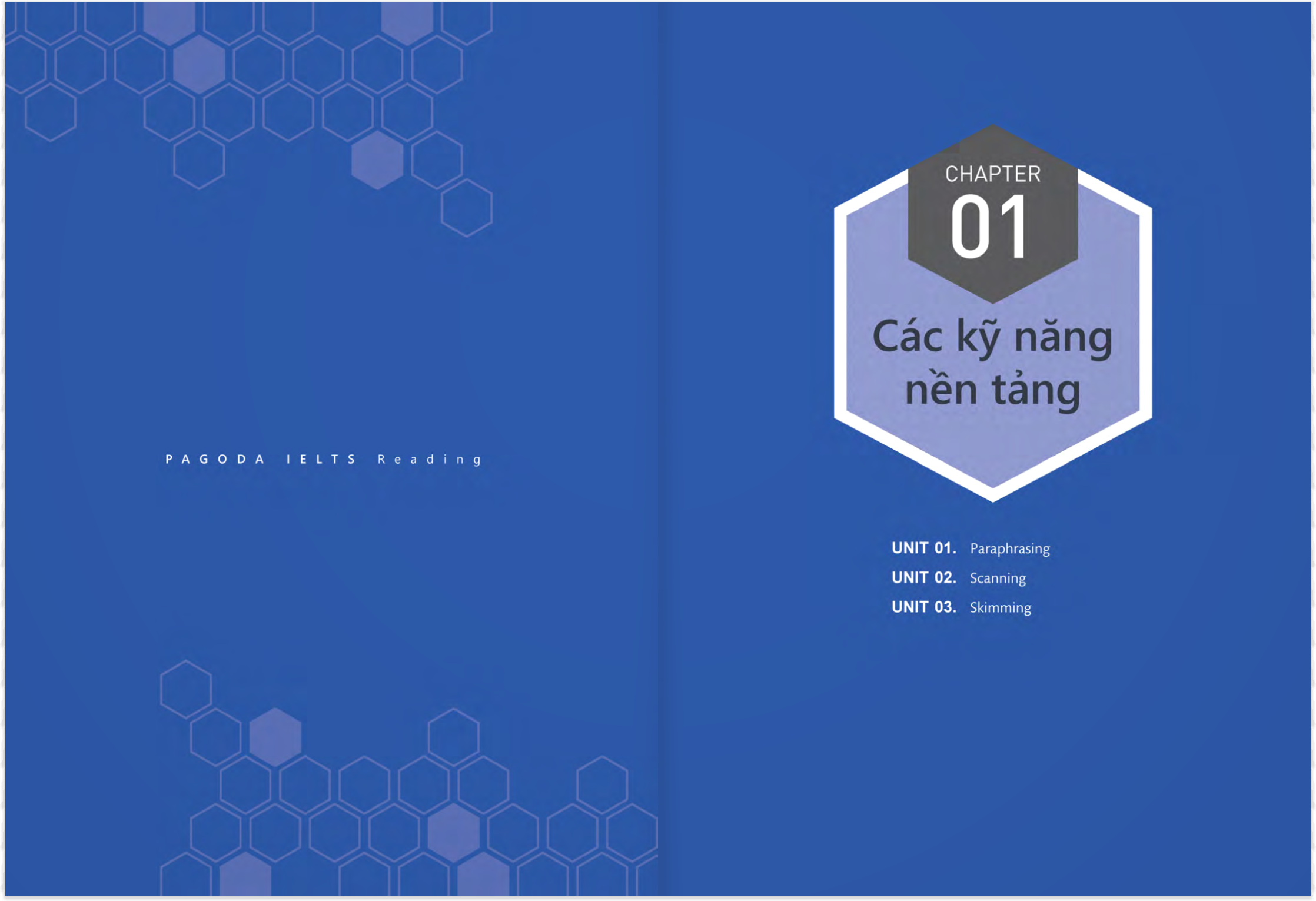 Pagoda IELTS Reading