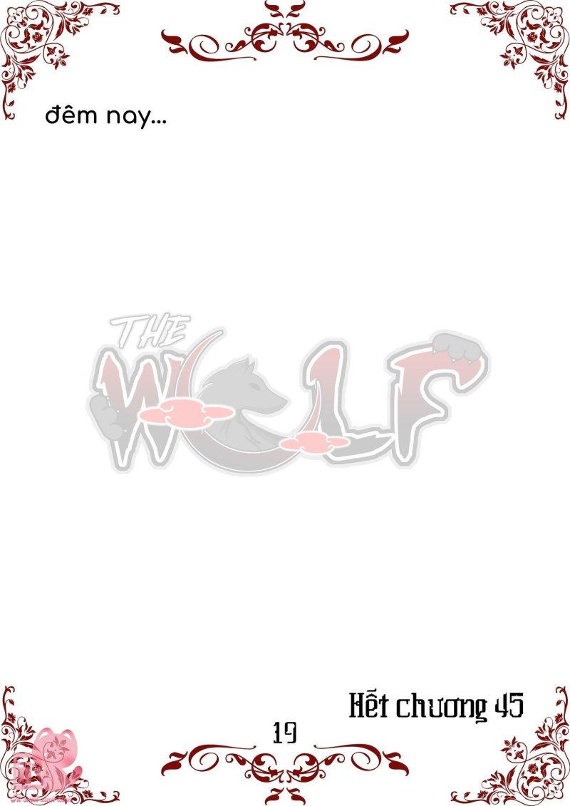 bầy sói giữa dane chapter 45 19