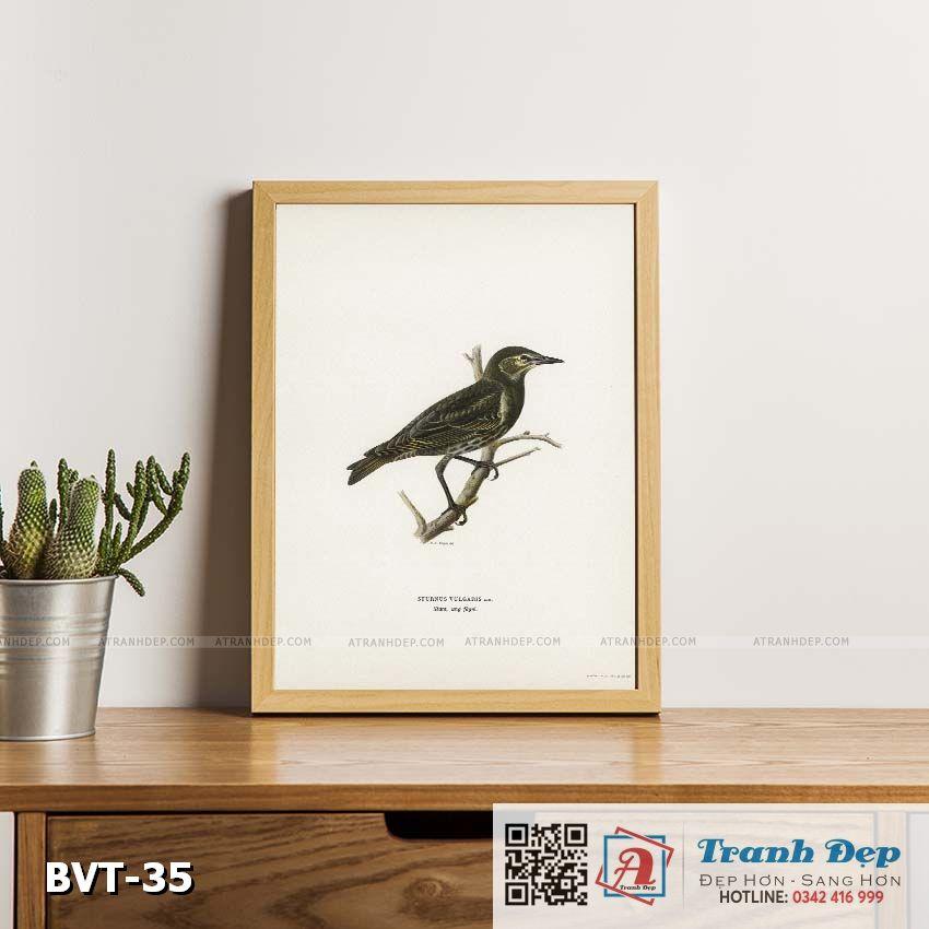Tranh canvas vintage - Sáo đá xanh  - BVT-35