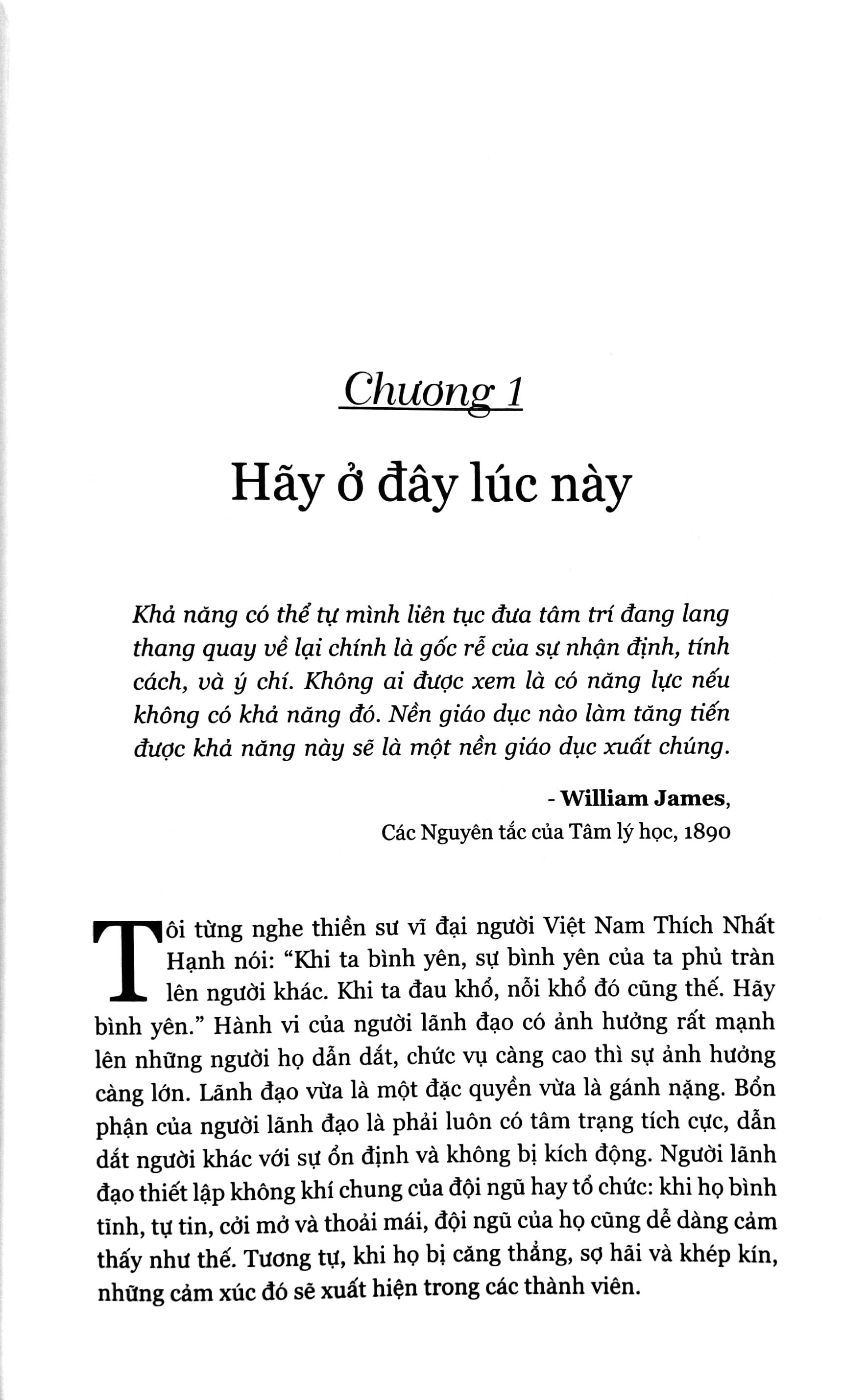 Lãnh Đạo Tỉnh Thức - The Mindful Leader (Tái Bản 2023)