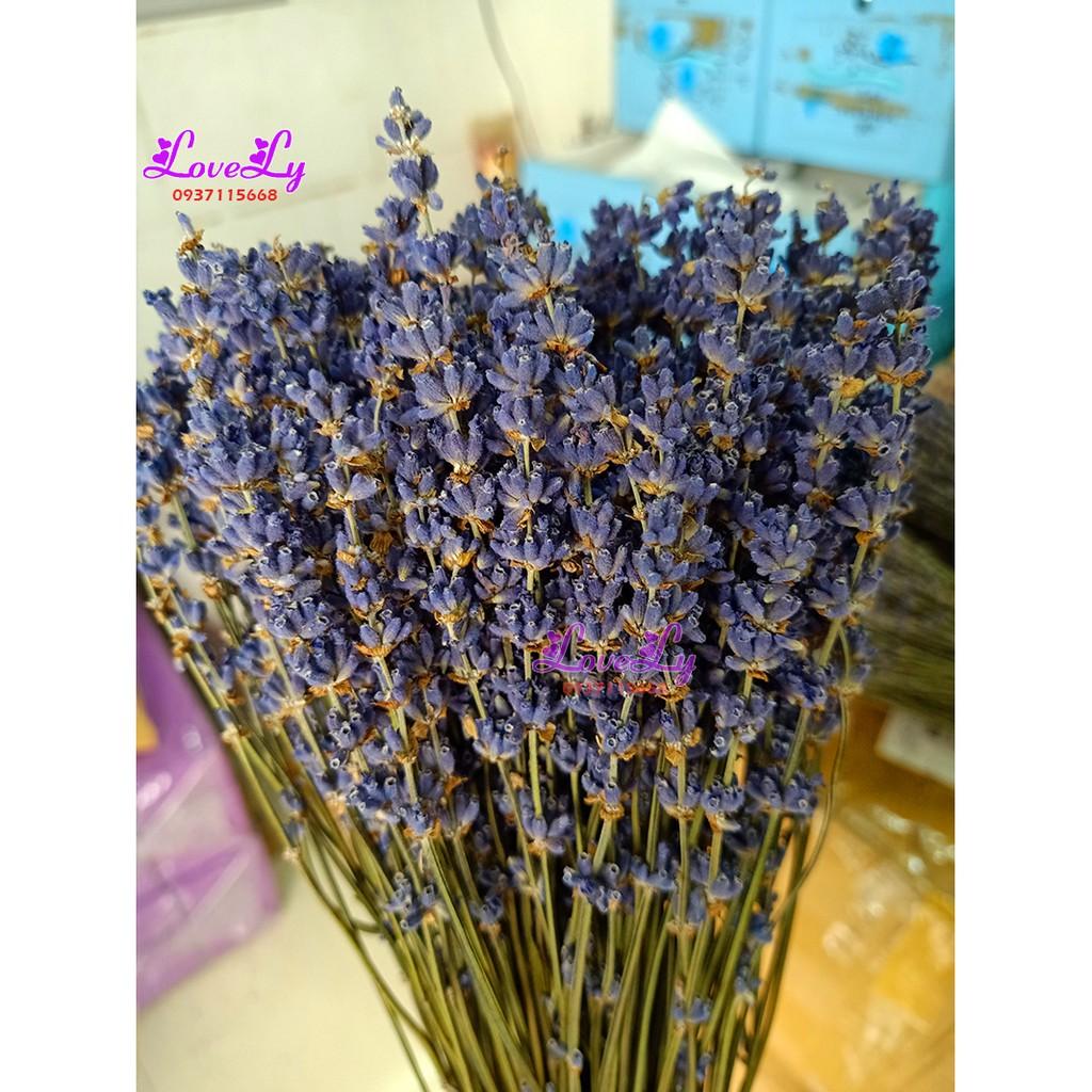 Bó hoa oải hương Lavender khô nhập Pháp 200 cành Tặng Túi Thơm Nụ Hoa Lavender