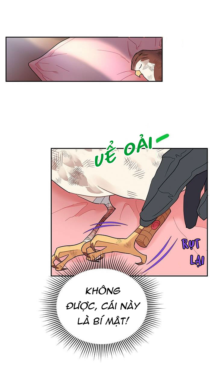 công chúa của loài chim chapter 12 38