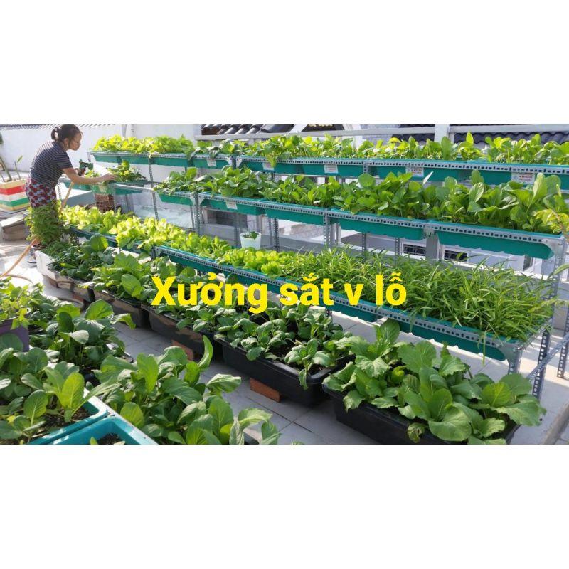 khung kệ sắt trồng rau sạch 2 tầng dùng 8 khay nhựa với kích thước khay 68x43cm