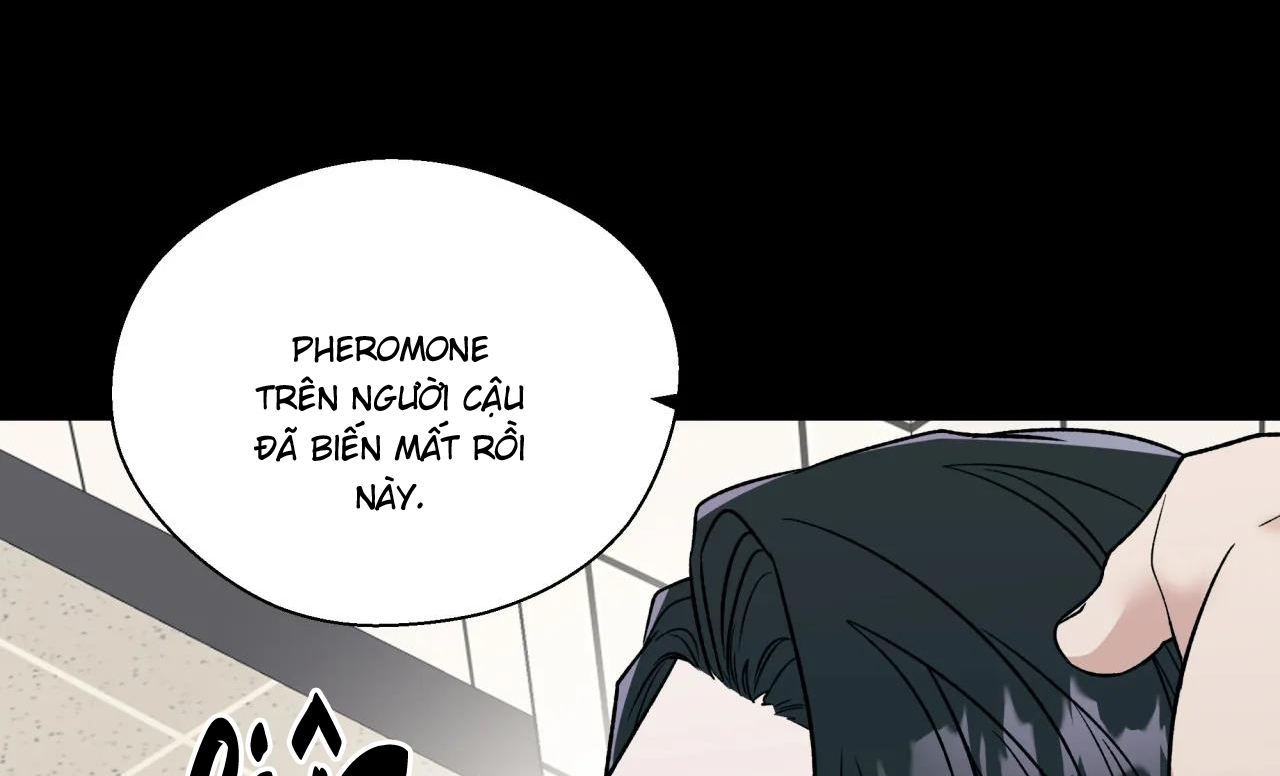 ám ảnh pheromone chapter 30 60