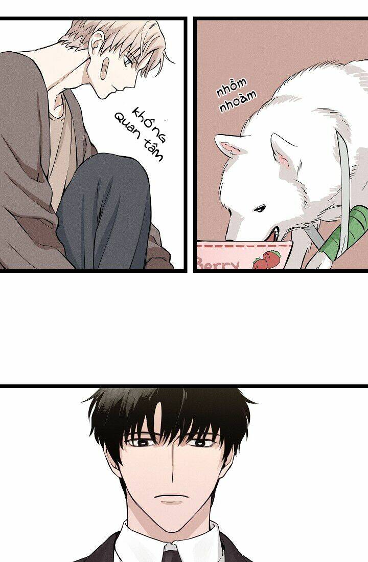 trốn tìm chapter 1 25