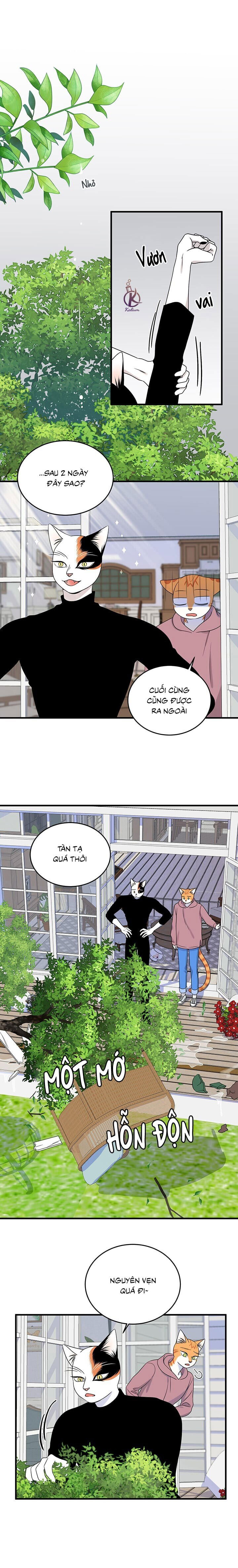 dự án xanh chapter 47 6