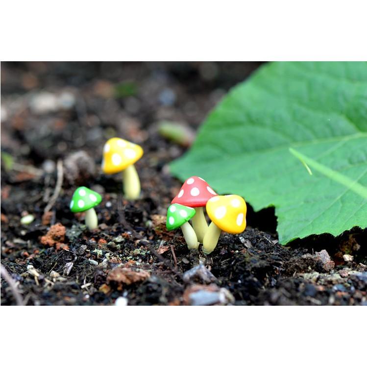 Mô hình nấm nhỏ phong cách tự nhiên cho các bạn làm tiểu cảnh, terrarium, DIY