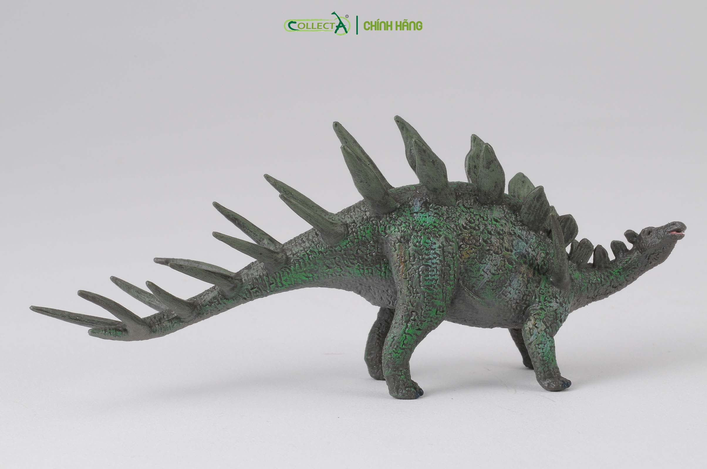 Mô hình thu nhỏ: Khủng Long Kentrosaurus  - Kentrosaurus, hiệu: CollectA, mã HS 9654060[88400] -  Chất liệu an toàn cho trẻ - Hàng chính hãng