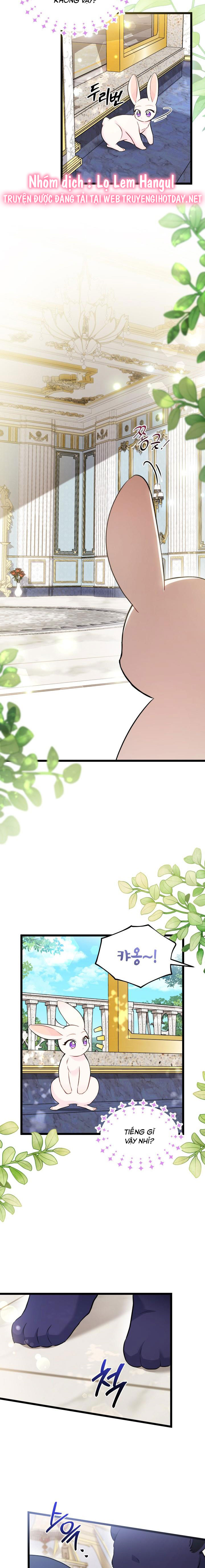 mối liên kết giữa báo đen và bé thỏ chapter 134 2