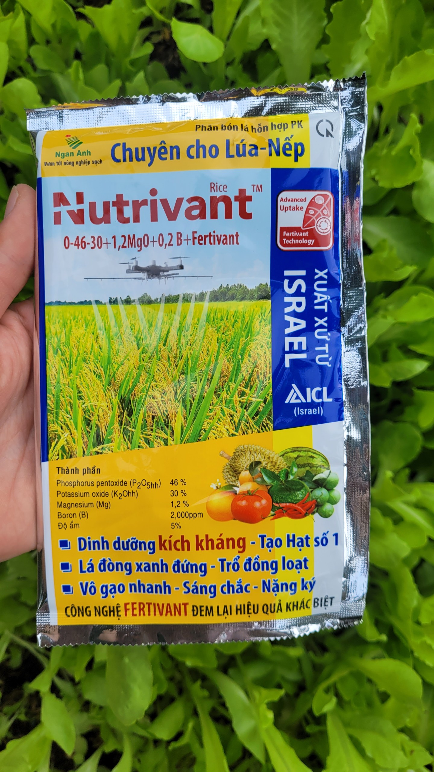 Phân bón lá NUTRIVANT 0-46-30 gói 70 g dinh dưỡng kích kháng, dưỡng xanh lá đòng, vô gạo nhanh, hạt sáng chắc