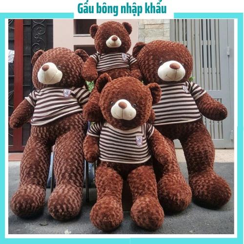 Gấu teddy, màu nâu socola size 1m4 - 1m6 -1m8 siêu to, chất liệu mềm mịn