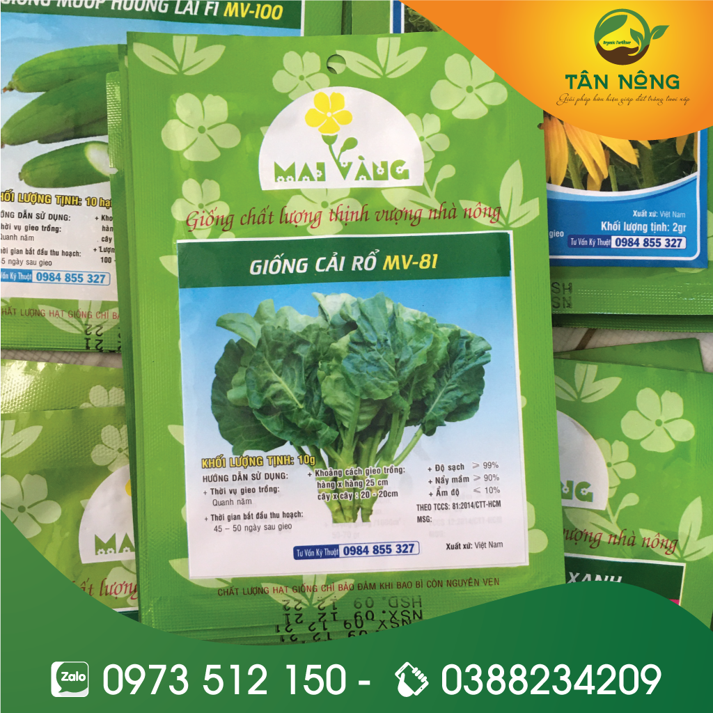 Hạt giống Cải Rổ Chịu Nhiệt 10gr, năng suất cao