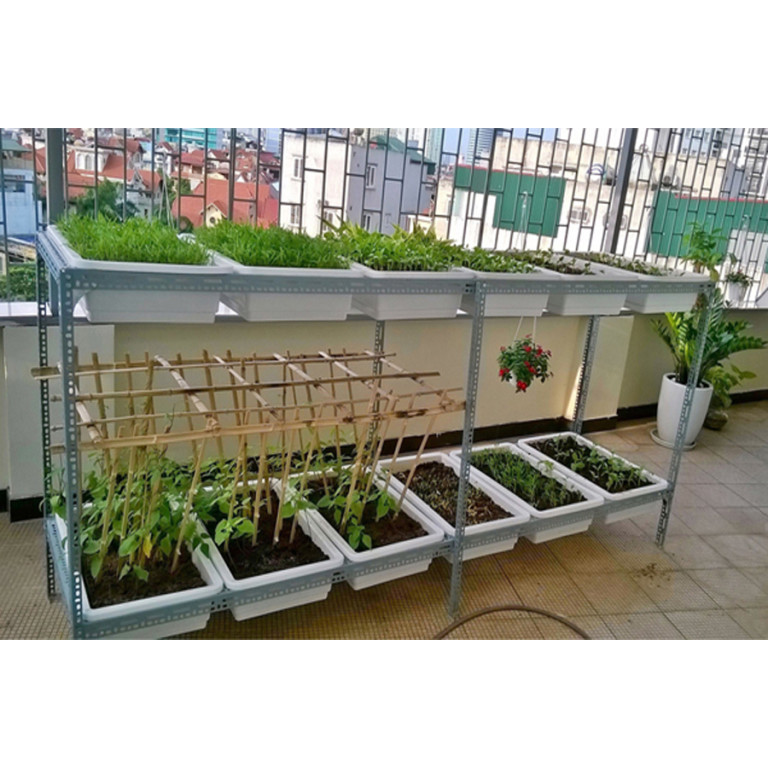 Giàn trồng rau thông minh 2 tầng 12 chậu